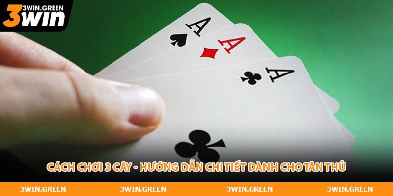 Cách Chơi 3 Cây - Hướng Dẫn Chi Tiết Dành Cho Tân Thủ