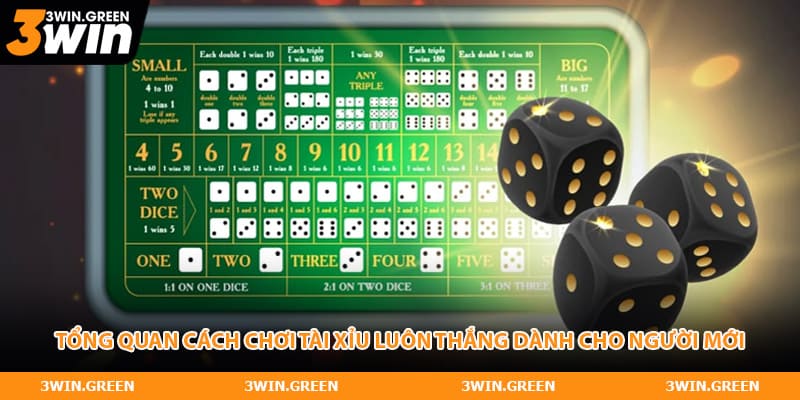 Tổng quan cách chơi tài xỉu luôn thắng dành cho người mới